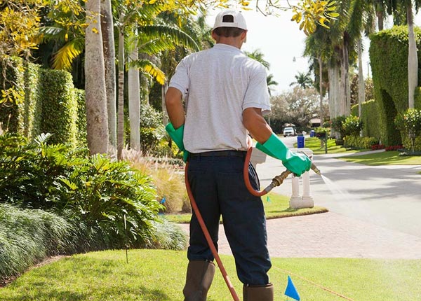About Brooksville MS Pest Control